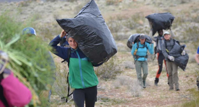 People carry full trash bags through a desert landscape. 